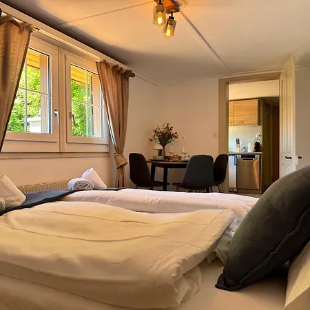 River-kissed Retreat With Iconic Jungfraujoch View דירה