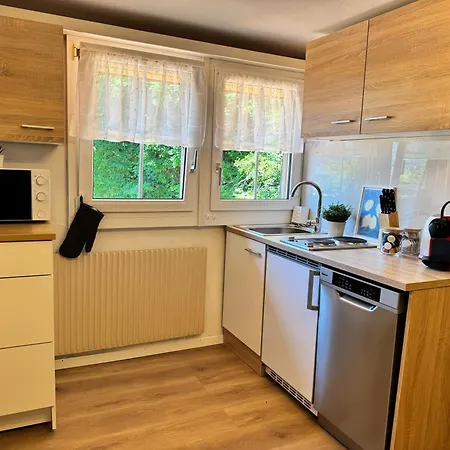 River 4-kissed Retreat With Iconic Jungfraujoch View Apartment Interlaken