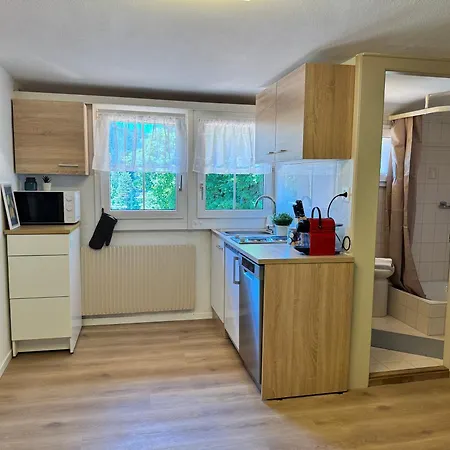 Apartment River 4-kissed Retreat With Iconic Jungfraujoch View